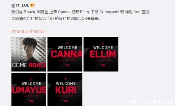 网坛的领军 网坛的领军