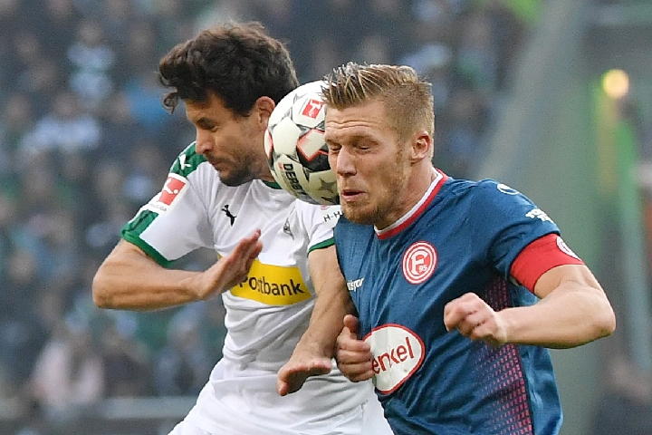 入门友好 入门友好