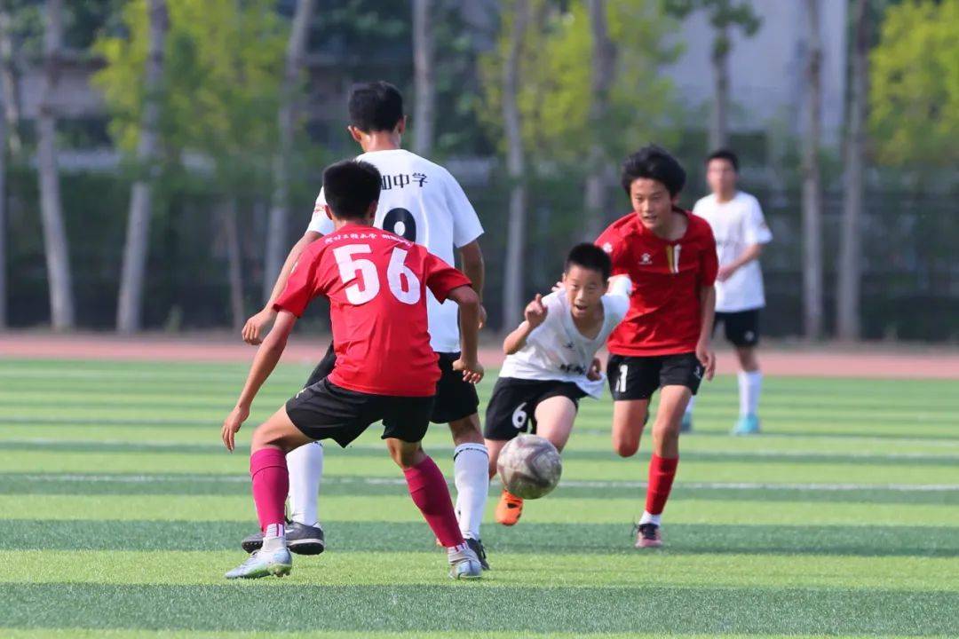 入了新的活 入了新的活